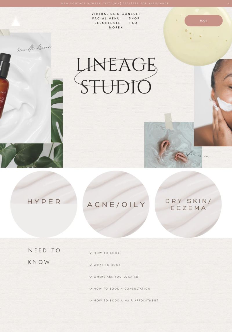 Lineage Studio screenshot