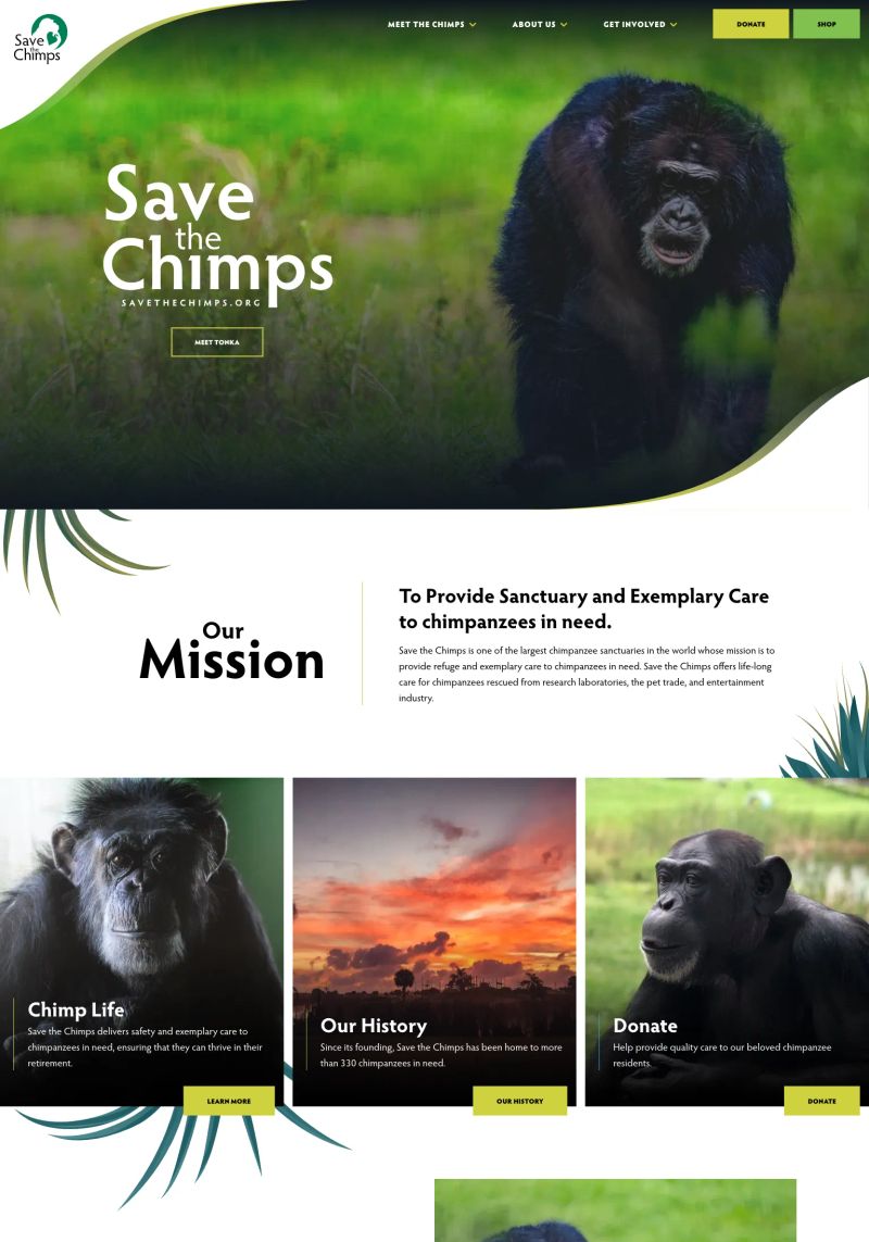 Save the Chimps screenshot