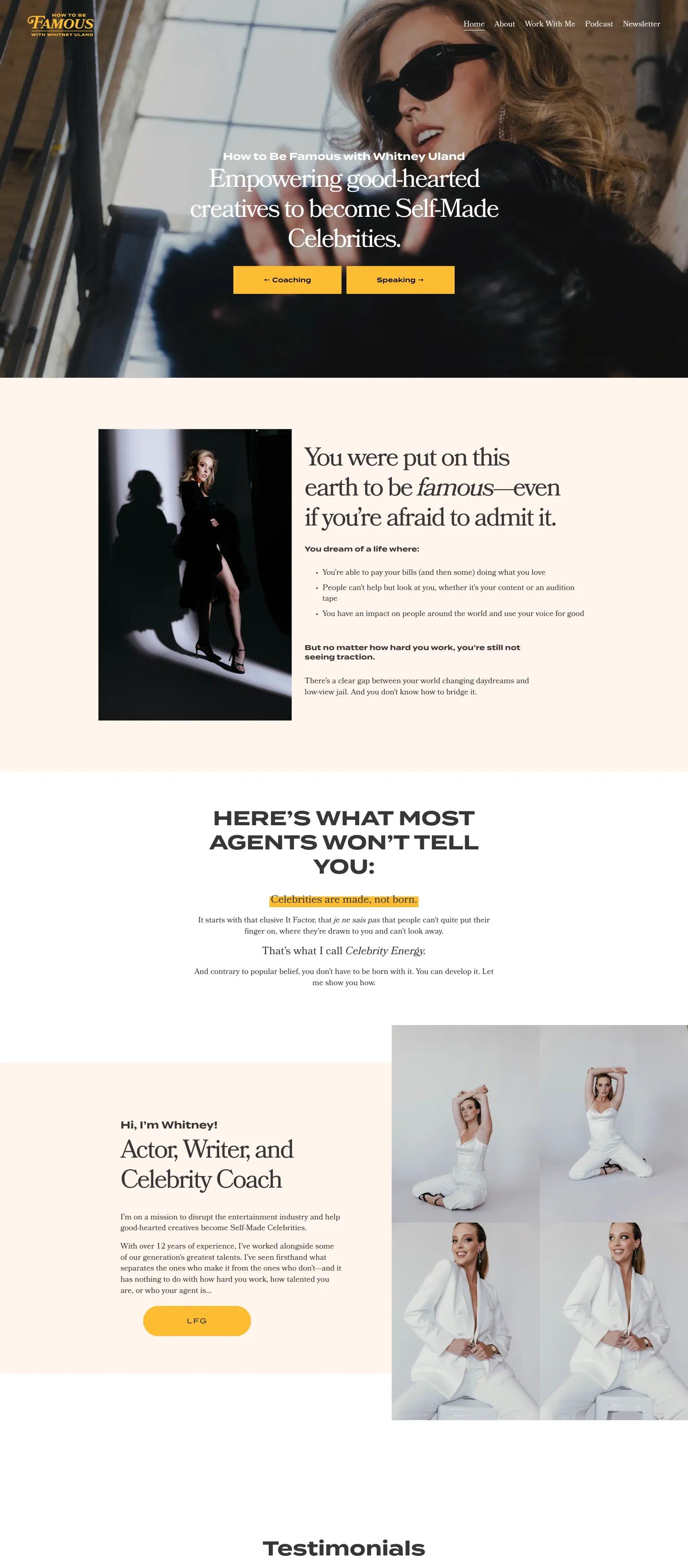 How To Be Famous screenshot