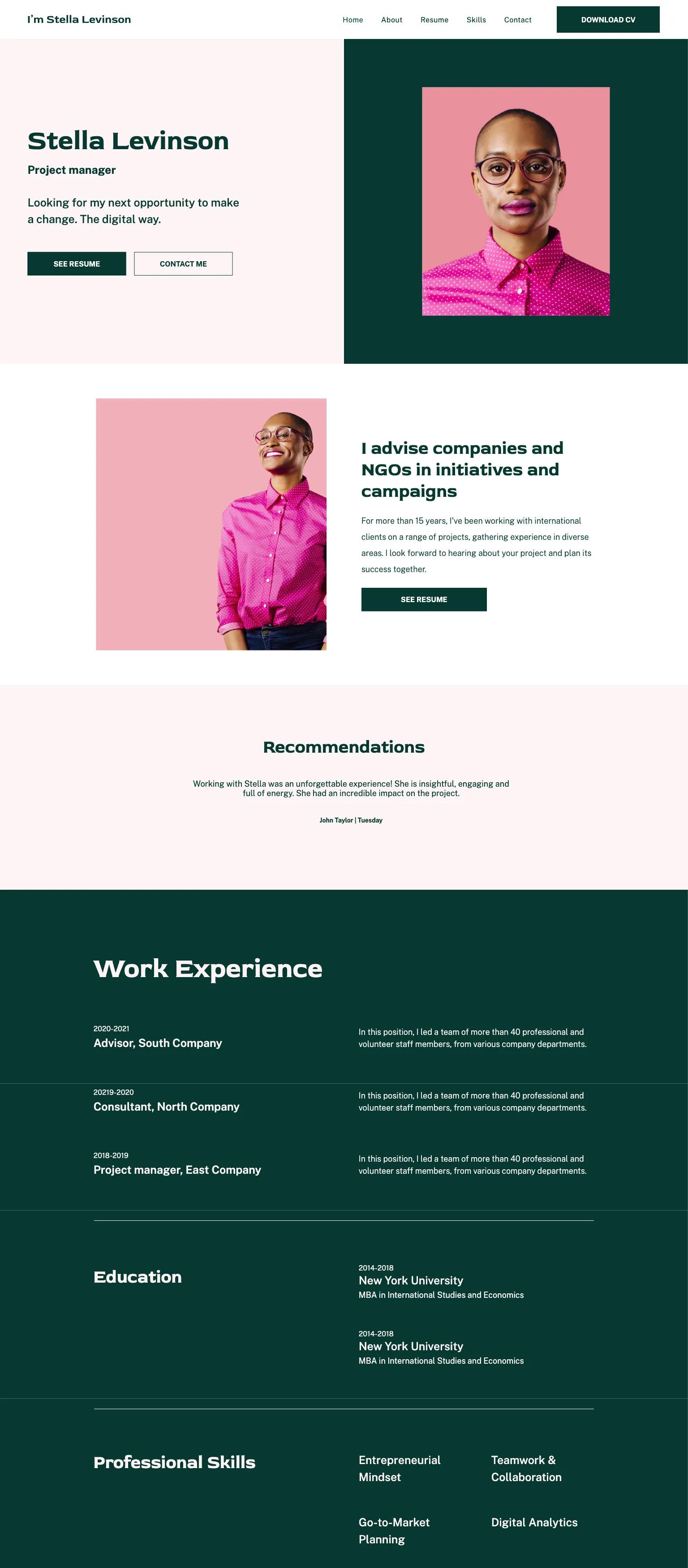 Professional Cv screenshot