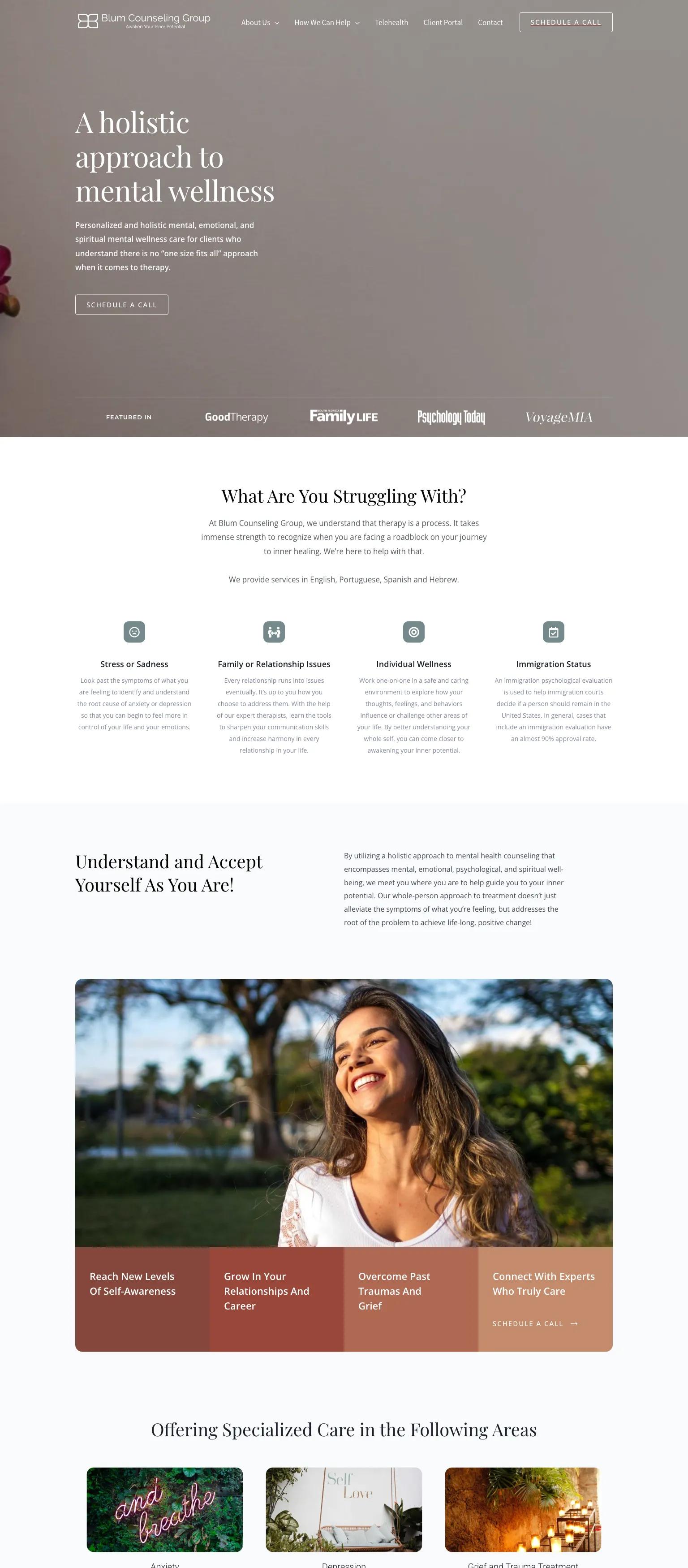 Blum Counseling Group screenshot