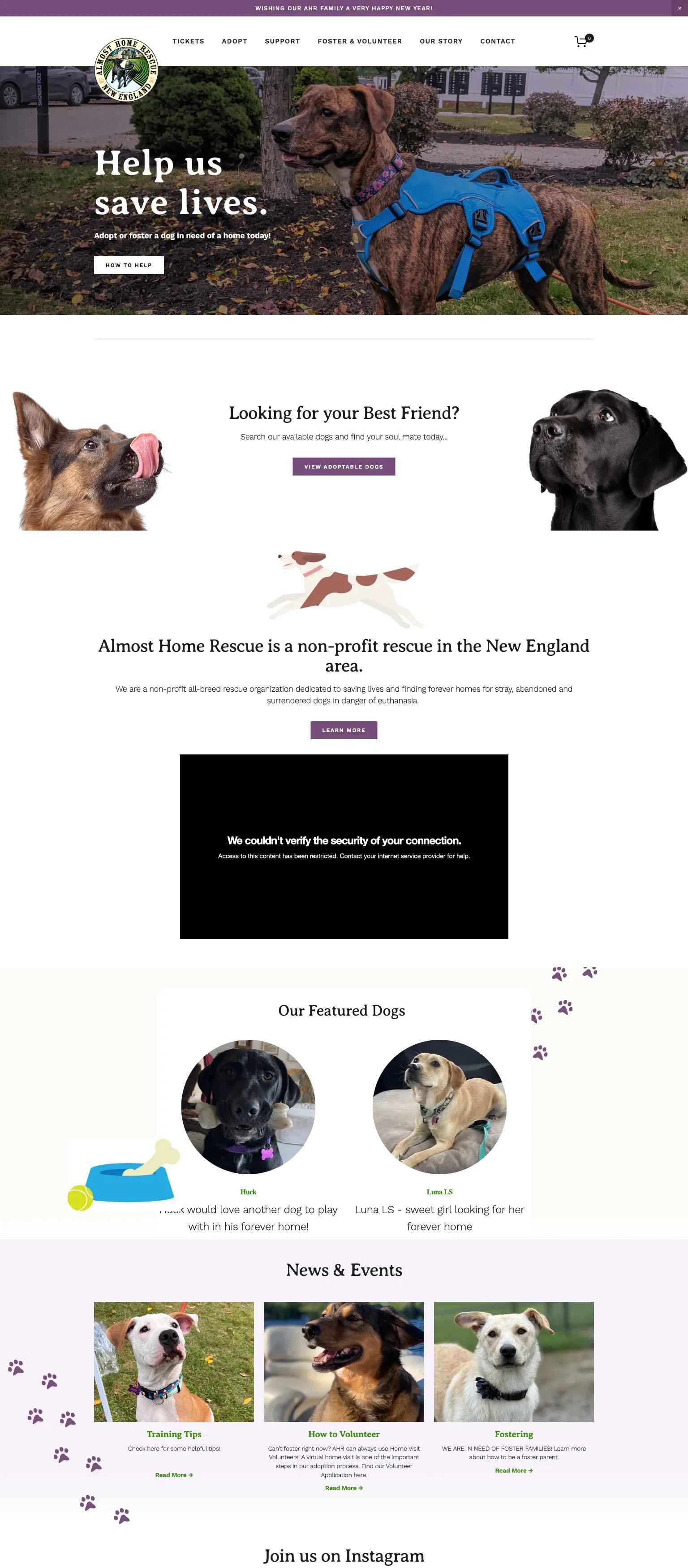 Almost Home Rescue screenshot