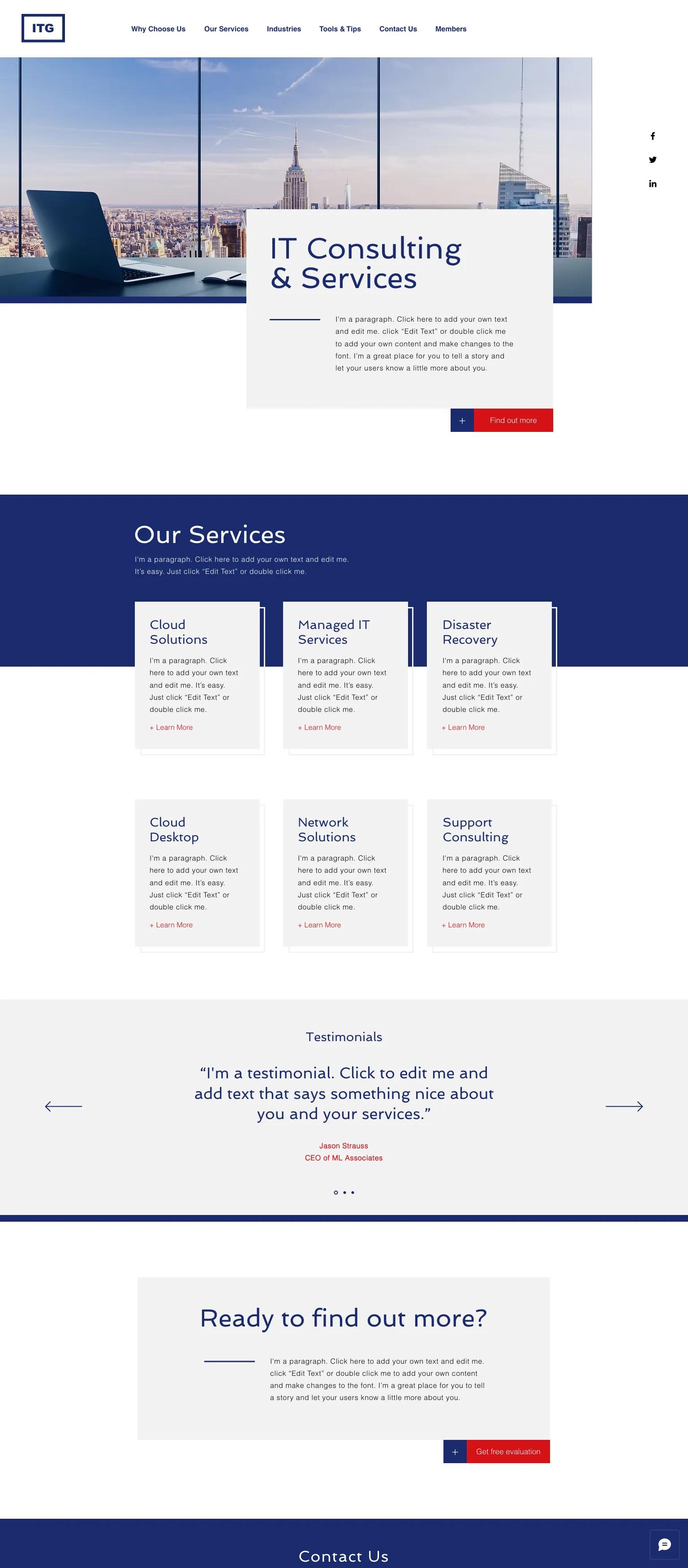 It Services Company screenshot