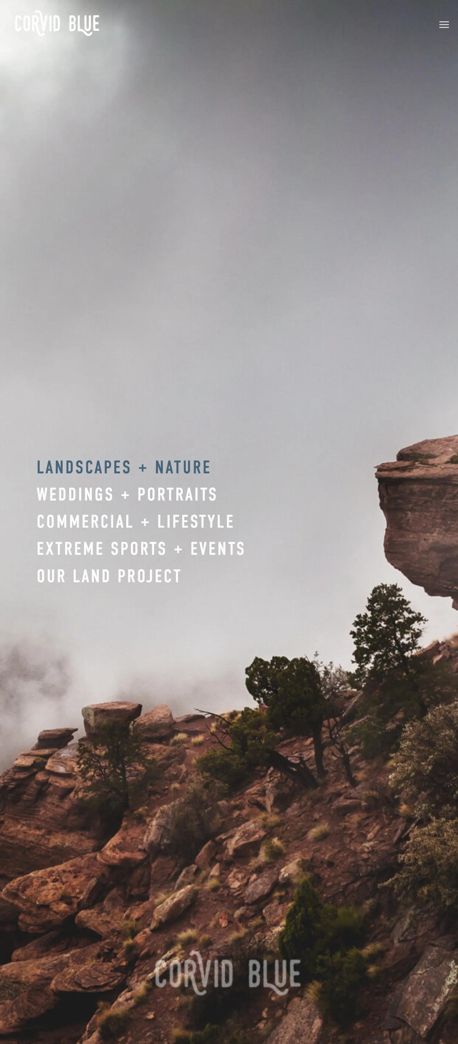 Corvid Blue Studio screenshot