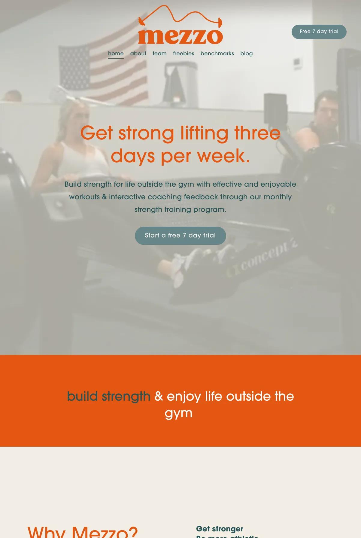 Mezzo (Online Training) screenshot