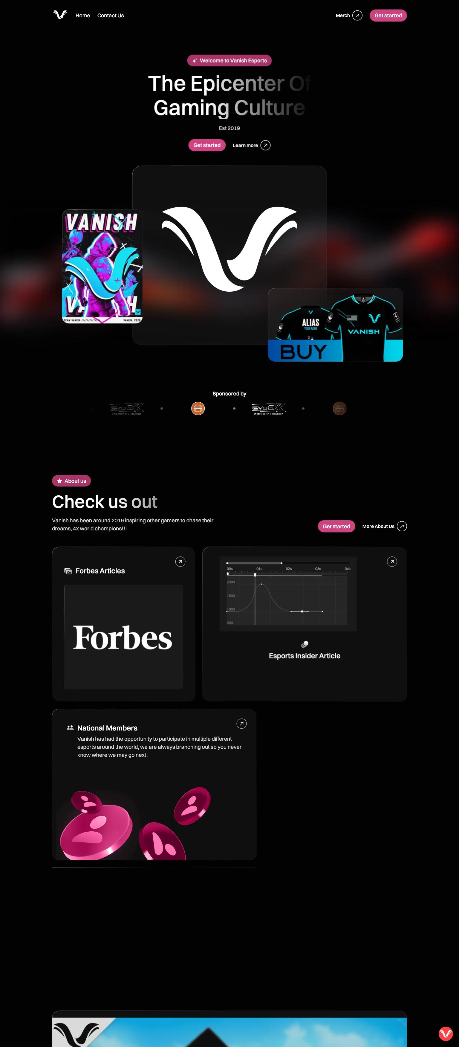 Vanish Esports screenshot