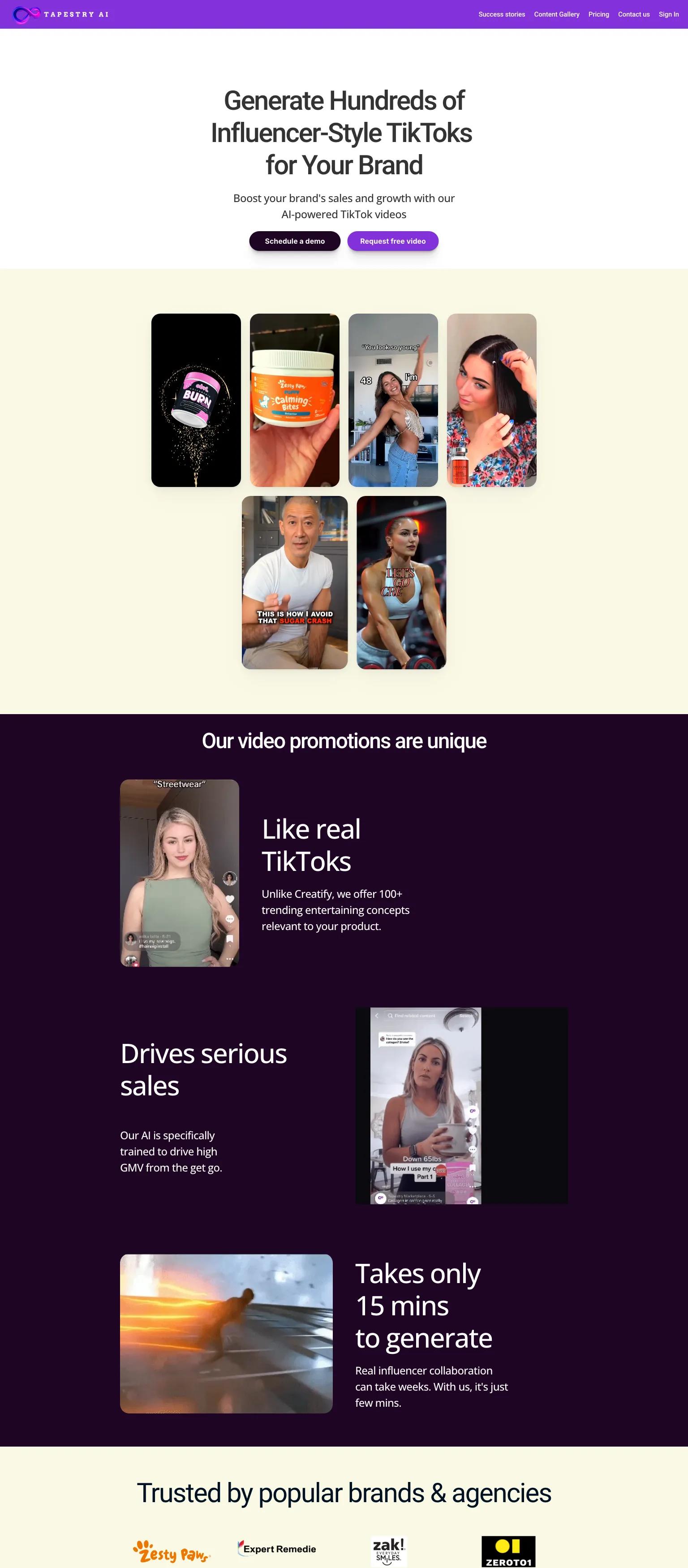 Tapestry AI screenshot