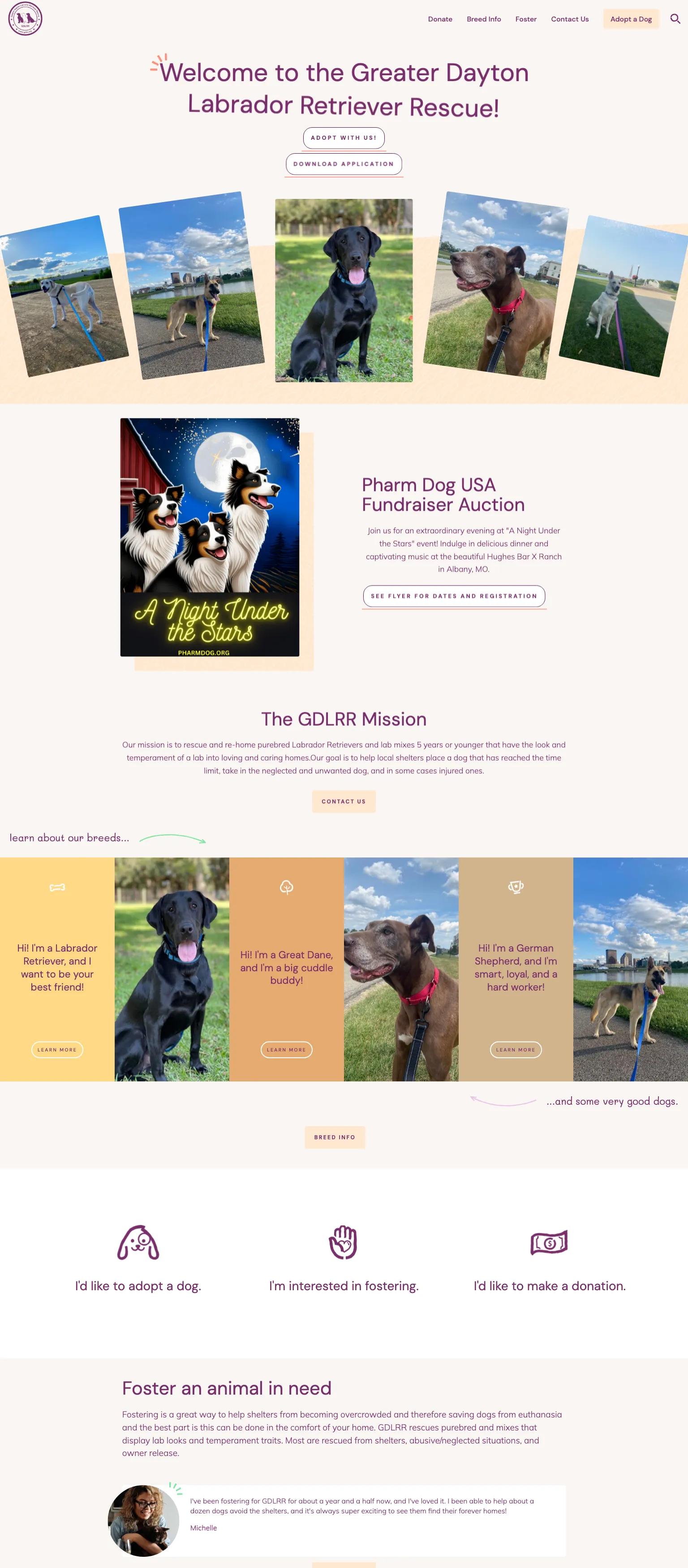 Greater Dayton Labrador Retriever Rescue screenshot