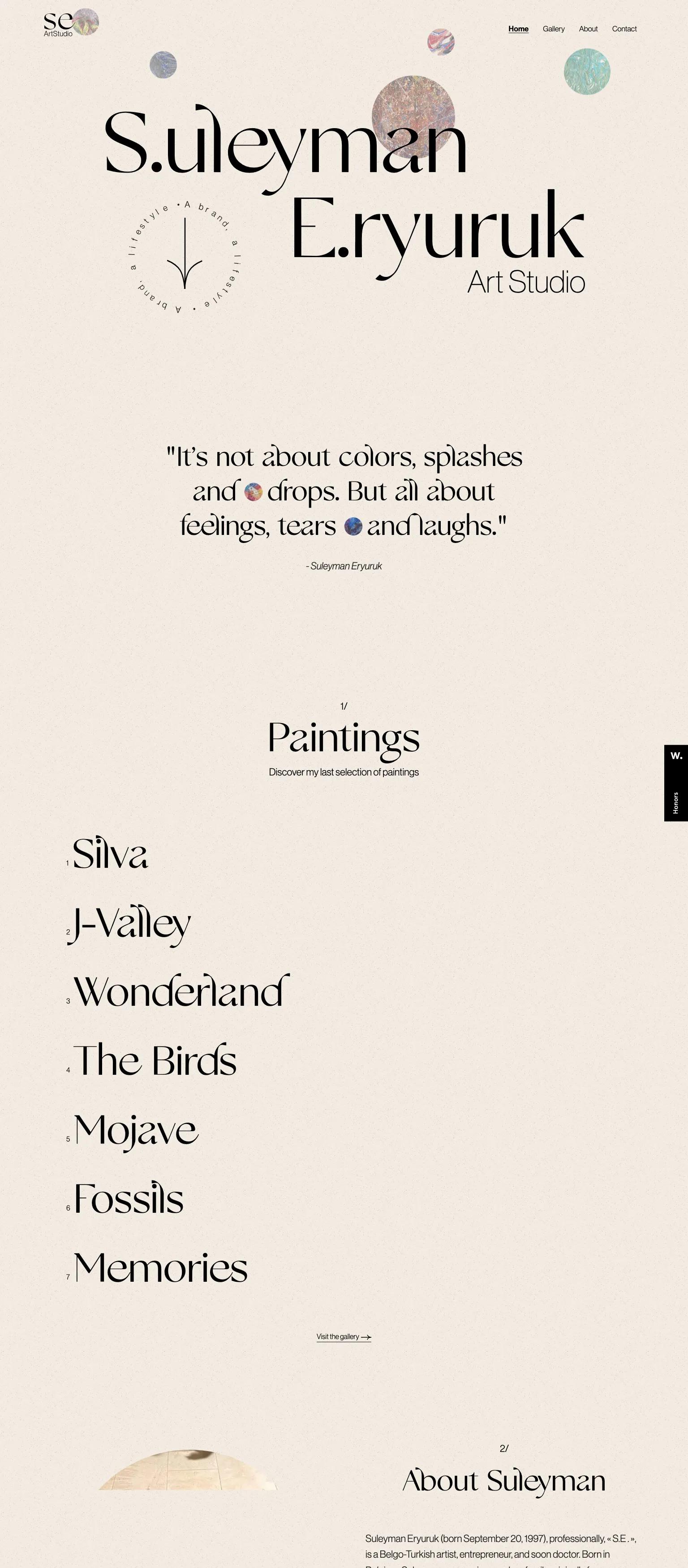 Suleyman Eryuruk Art Studio screenshot