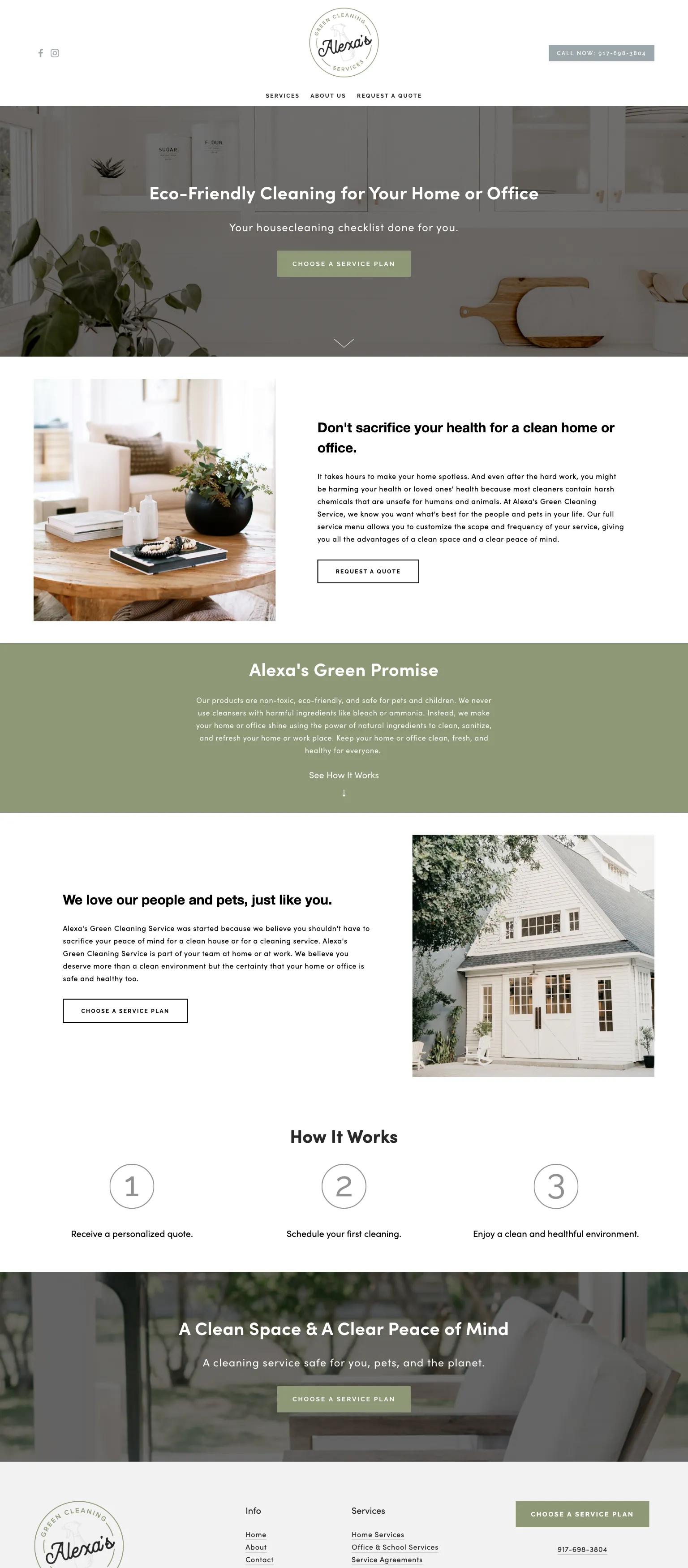 Alexa's Green Cleaning Service screenshot