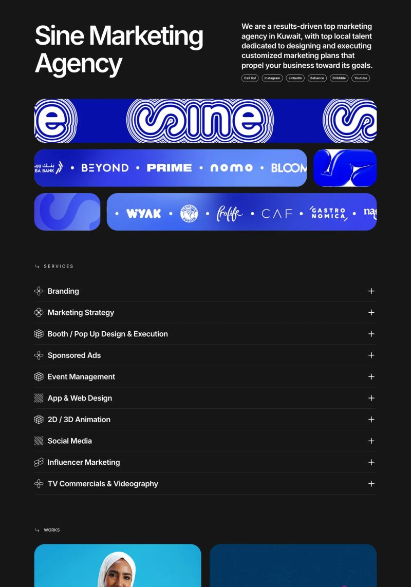 Sine Marketing Agency screenshot