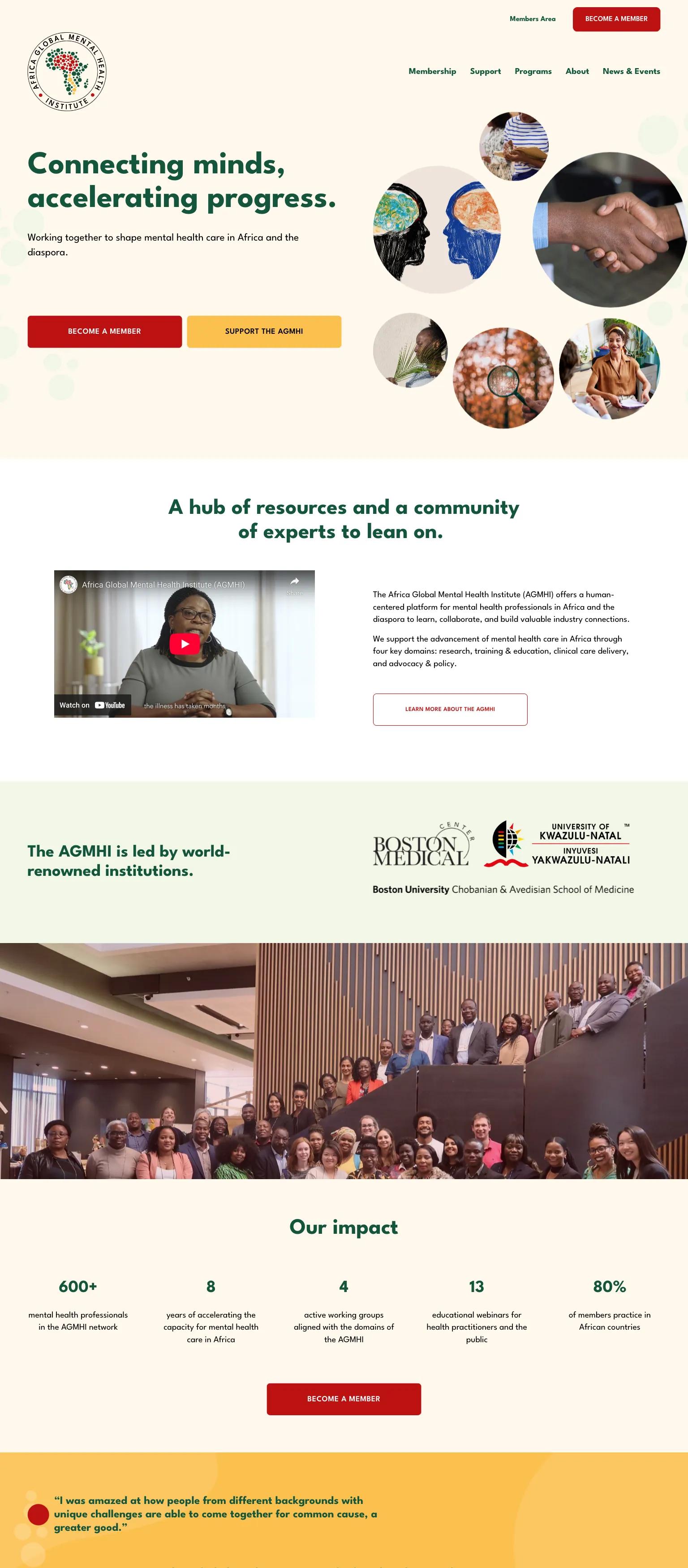 Africa Global Mental Health Institute screenshot