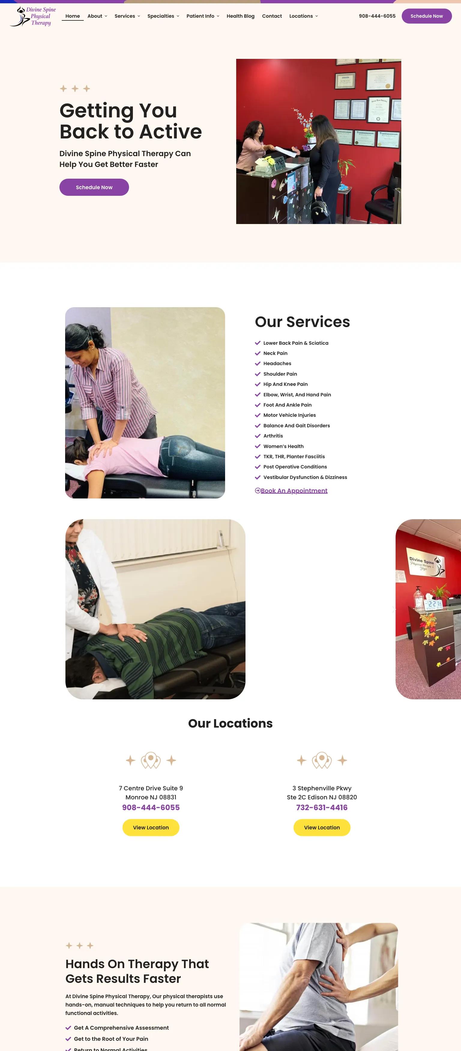 Divine Spine Physical Therapy screenshot