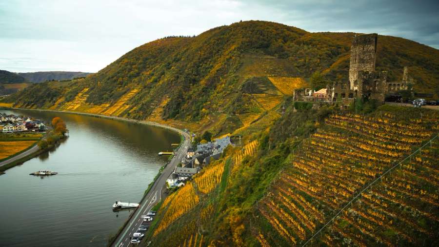 Beilstein an der Mosel mit Burg Metternich und herbstlichen Weinbergen