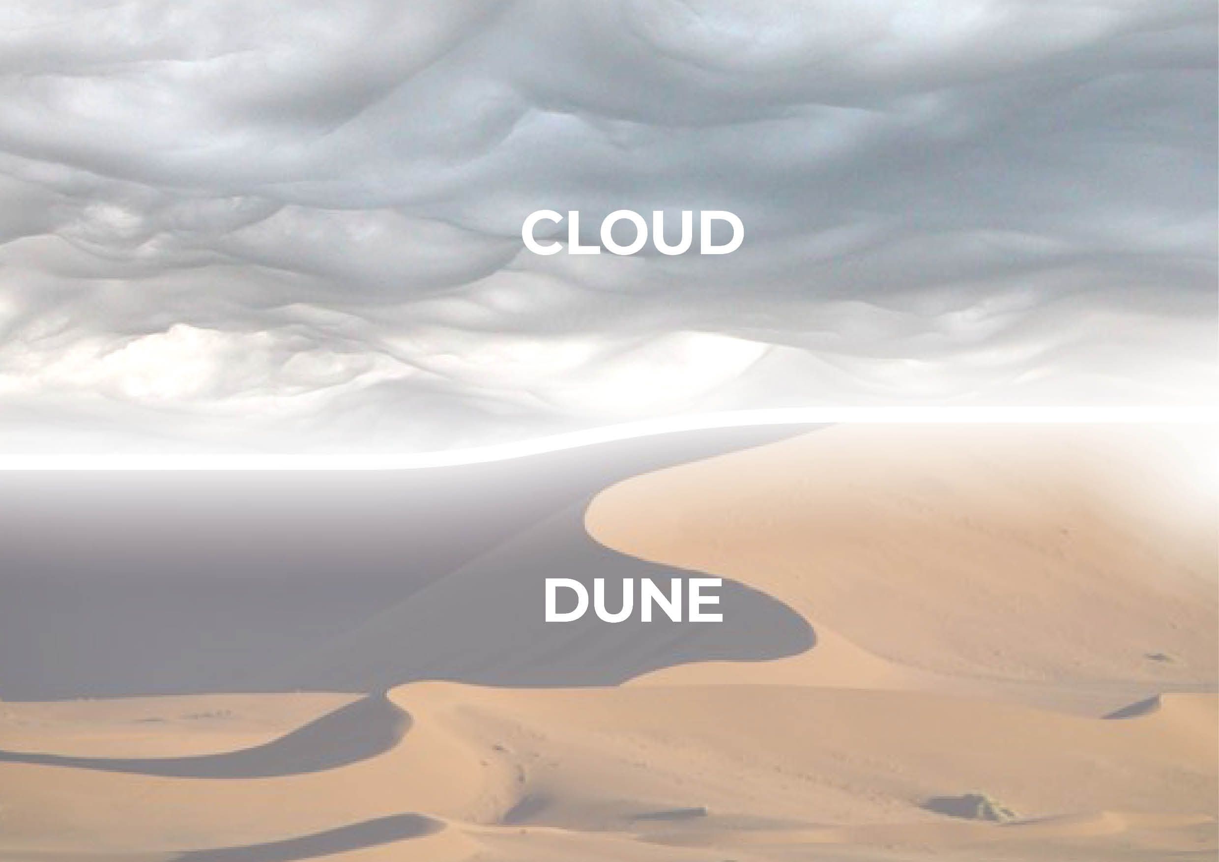 die Wüste mit einem wolkenverhangenen Himmel