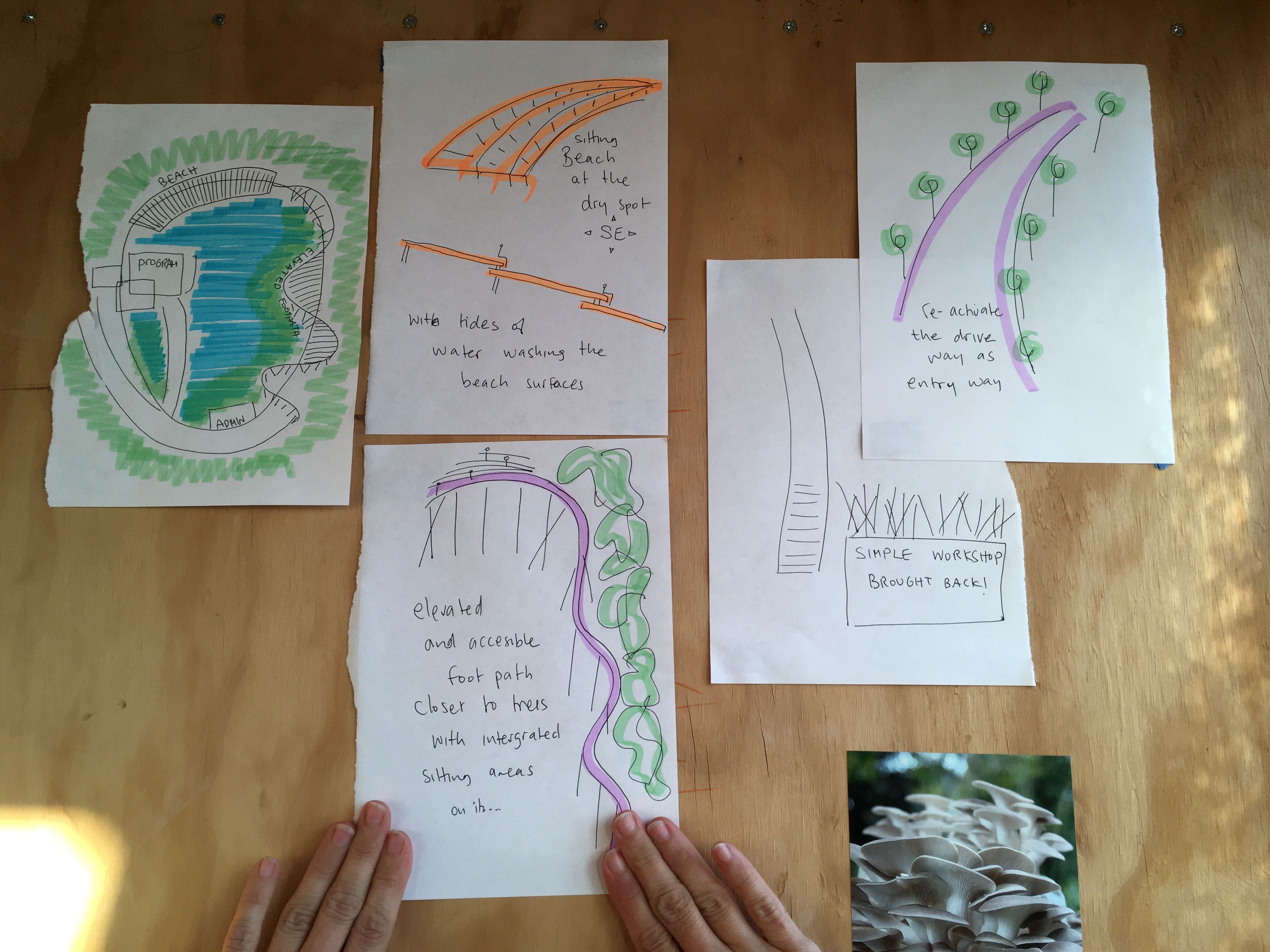 4k - photo credit - Katherine Ball - pictured Drawings by Gilly Karjevsky