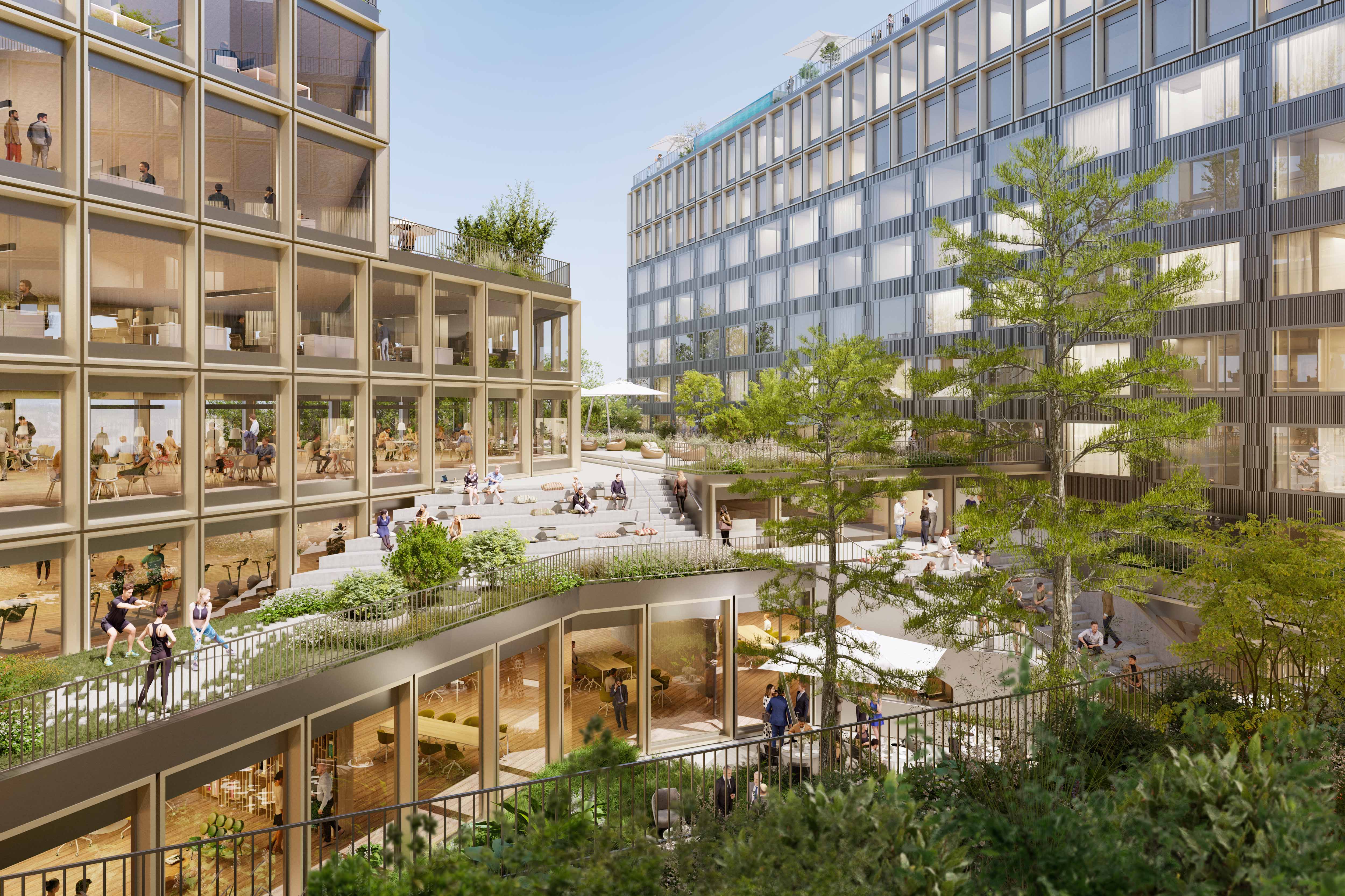 Inner courtyard with lush green and terraces