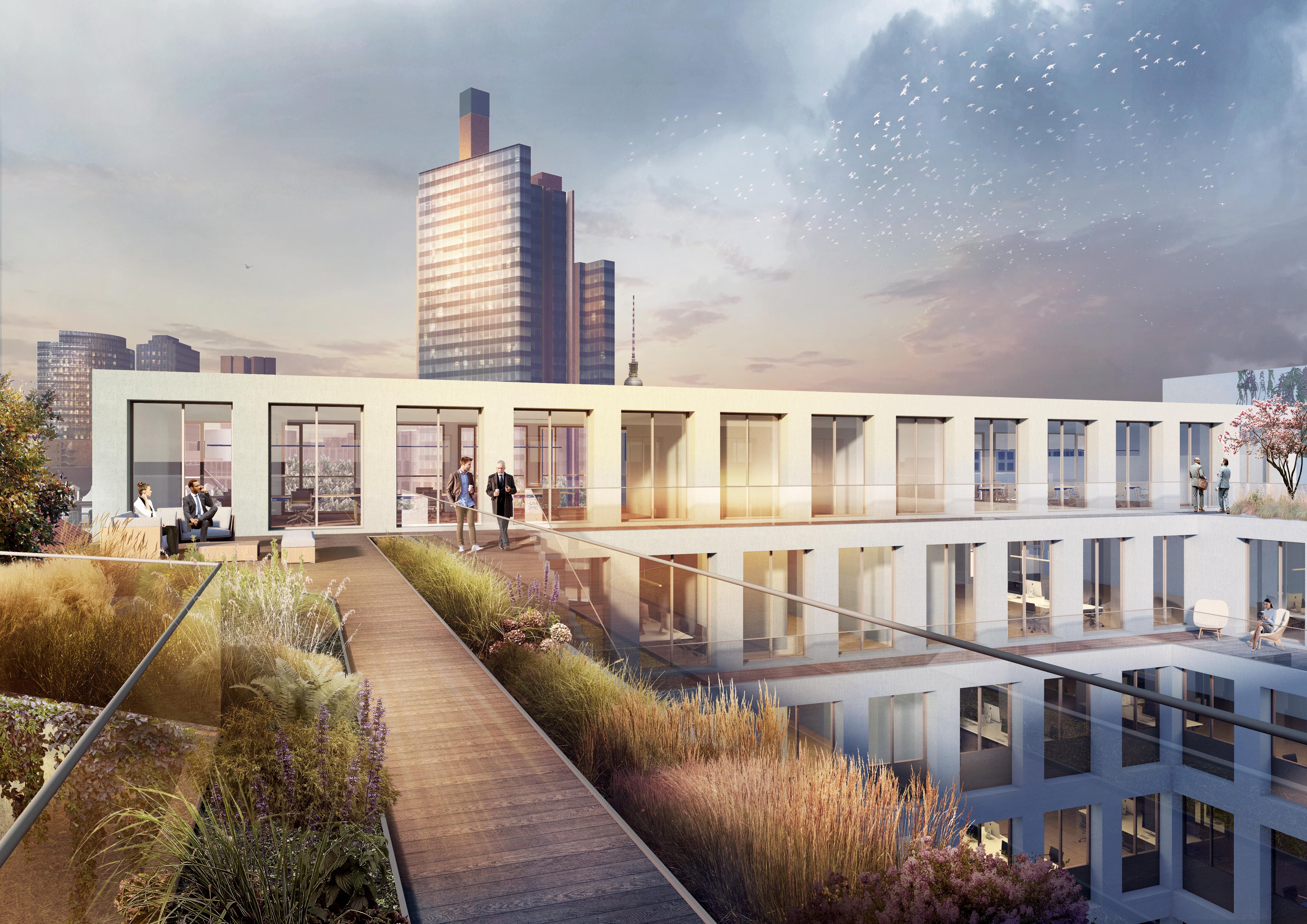 Green roof terrace of the new building