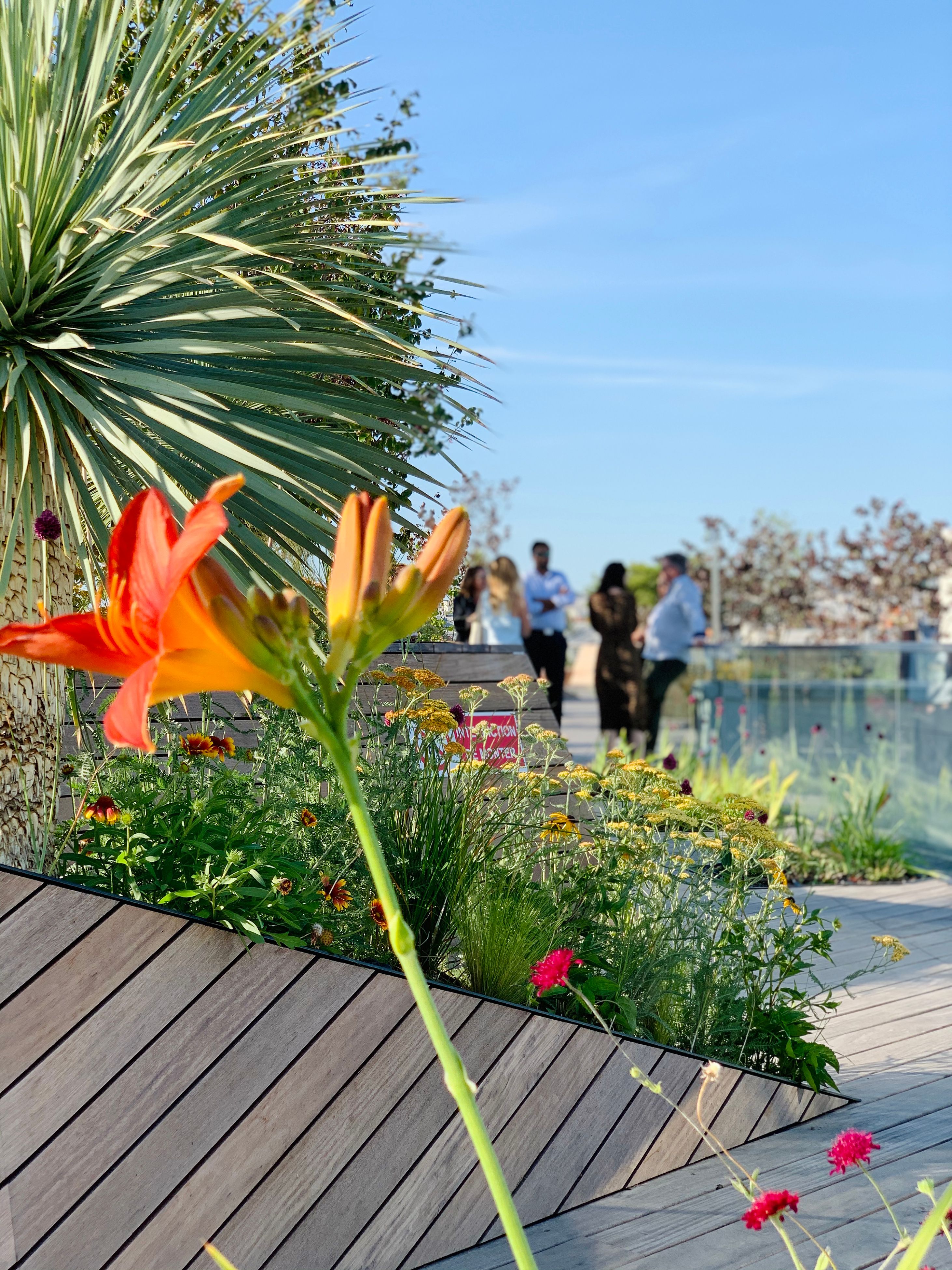 a lush green roofterrace with flowers in the foreground, people talking in the background