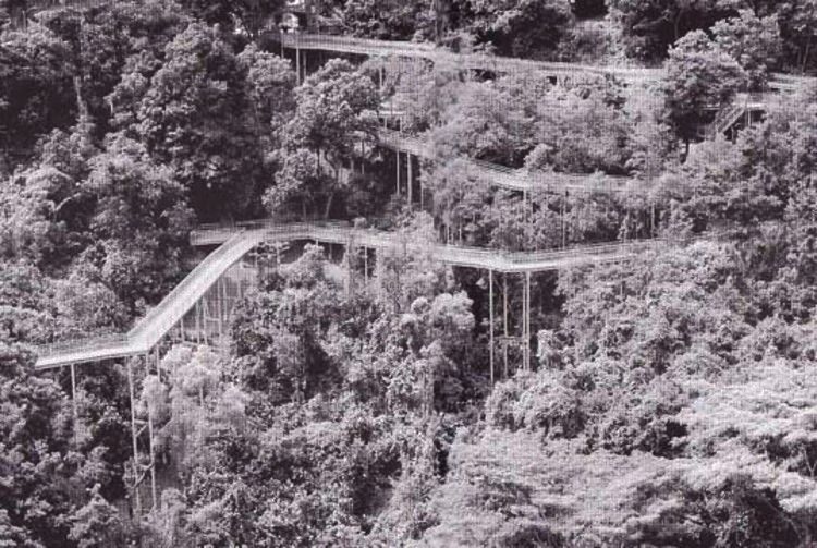 credit - Telok Blangah Hill Park in Singapore - photographer unknown