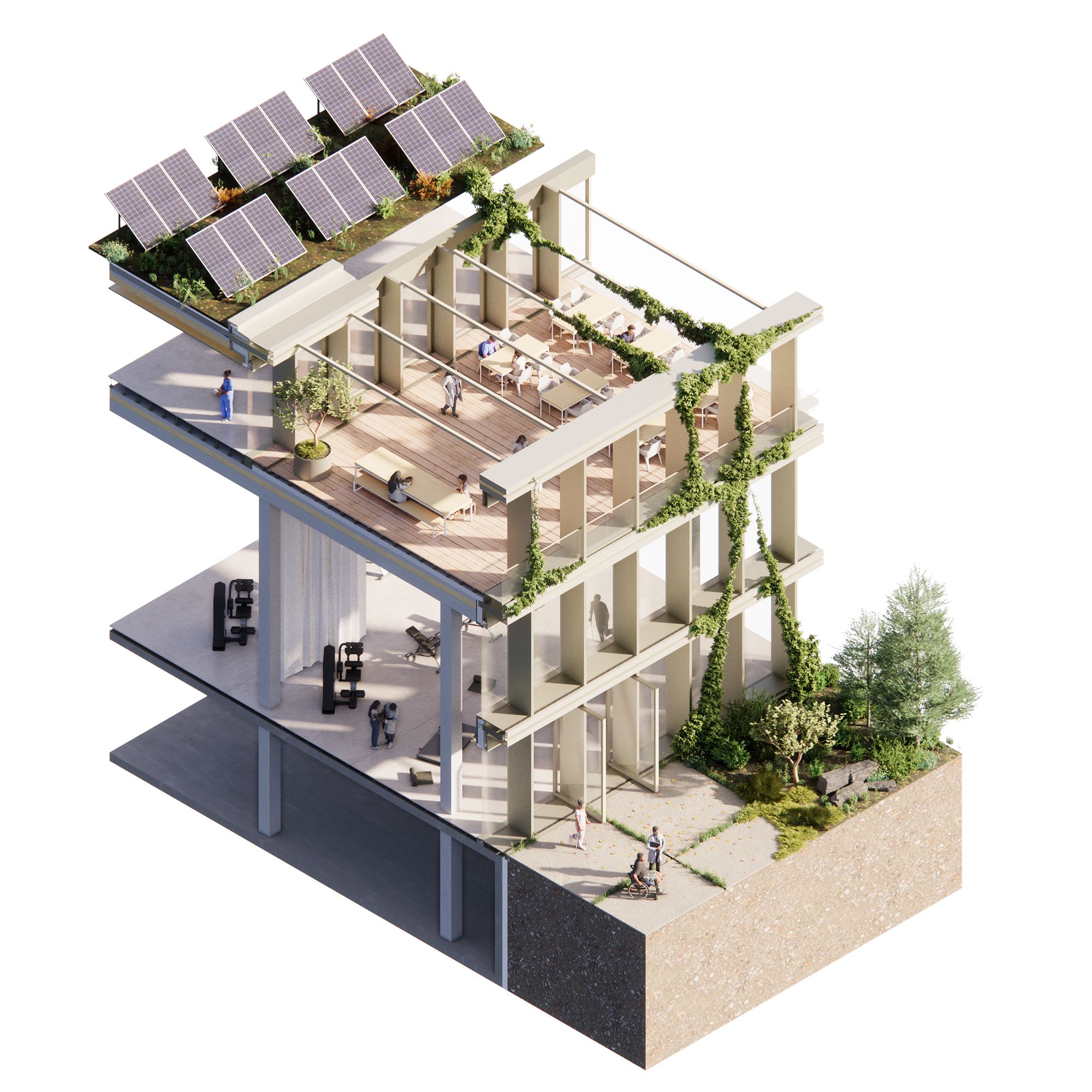 facade section - axo