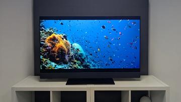 OLED-телевизор Panasonic Z90B с диагональю 48 дюймов показывает яркую подводную сцену с разноцветными рыбами на белой мебели