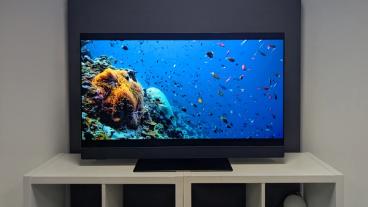 OLED-телевизор Panasonic Z90B с диагональю 48 дюймов показывает яркую подводную сцену с разноцветными рыбами на белой мебели