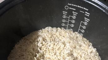 Arroz integral cocido dentro de la Nutribullet EveryGrain Cooker con marcas de medición visibles