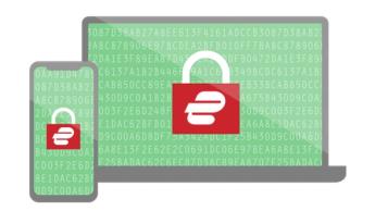 온라인 프라이버시를 지키는 안전한 VPN 연결