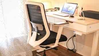 Vista en primer plano del soporte lumbar en la silla ergonómica Branch
