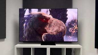 Телевизор Samsung S95F OLED на белой деревянной тумбе с изображением доисторической птицы