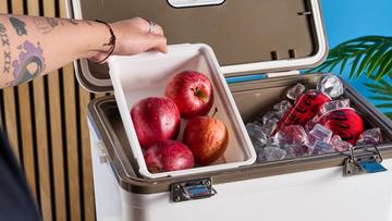 Nevera Engel blanca de 19 litros con capacidad para 30 latas, bandeja de plástico extraíble y correa de transporte