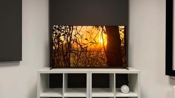 55-дюймовый телевизор Sony Bravia 8 II QD-OLED на белом столе, демонстрирующий яркий документальный фильм о природе
