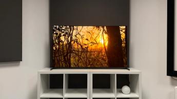 55-дюймовый телевизор Sony Bravia 8 II QD-OLED на белом столе, демонстрирующий яркий документальный фильм о природе