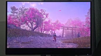 The Dell S3225QC displaying Assassin's Creed Shadows