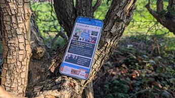 Fotos de amostra do smartphone Xiaomi 15 avaliadas