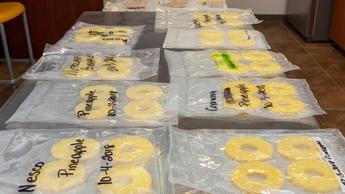 Rodajas de piña colocadas en bolsas para sellado al vacío para conservar alimentos