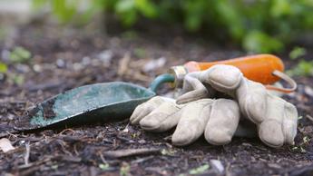 A pair of dirty gardening gloves next to a trowel in the soil