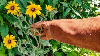 Guantes de jardinería de alta calidad diseñados para podar rosales y tareas de jardinería