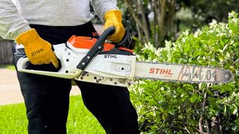 Homme tenant une tronçonneuse STIHL MSA 300 C à côté d'un arbre coupé