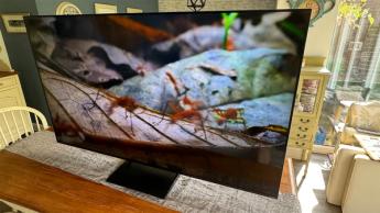 Вид спереди на 65-дюймовый 4K QNED LCD телевизор LG 65QNED93