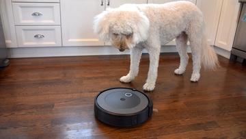 Un perro curioso observando un robot aspirador en la cocina