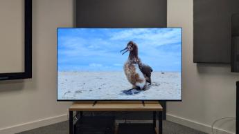 Sony Bravia 8 65-inch OLED TV with a penguin on screen