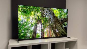 Телевизор Sony Bravia 8 II QD-OLED с экраном 55 дюймов, показывающий документальный фильм о природе, стоит на белом столе