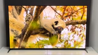 55-дюймовый телевизор Sony Bravia 8 II QD-OLED на белом столе, на экране яркий документальный фильм о природе