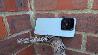 Fotos de amostra do smartphone Xiaomi 15 para análise