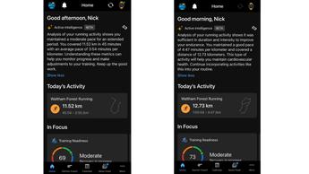 Panel de la aplicación Garmin Connect mostrando estadísticas de fitness