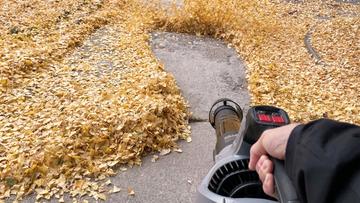 Souffleur de feuilles Enhulk 58V 930 CFM utilisé dans un jardin