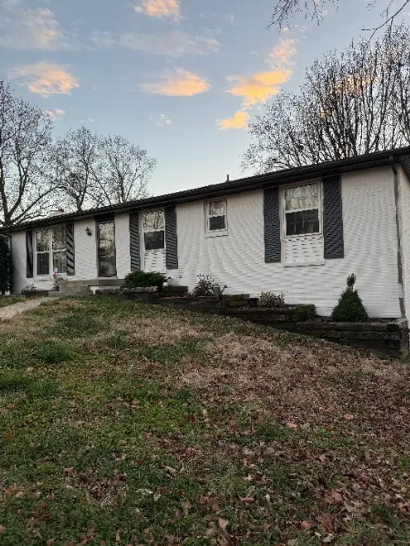 Mr. Wu's Painting Project