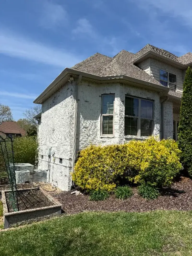 Mr. Wu's Painting Project